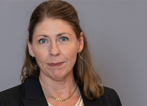 Elisabet Lann 2000x600