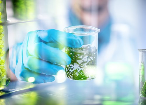 provrör grönt innehåll