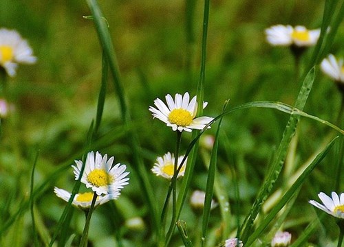 Relaterad_sommaräng_2000x600px