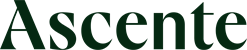 Ascente_brand mark_Pine
