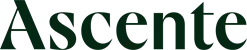 Ascente_brand mark_Pine