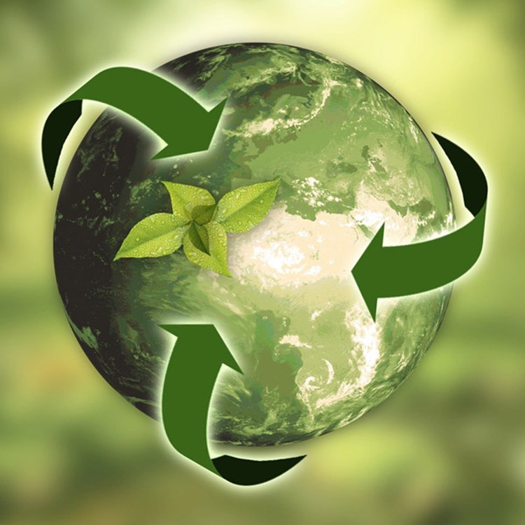 Sustainability Forum 2023