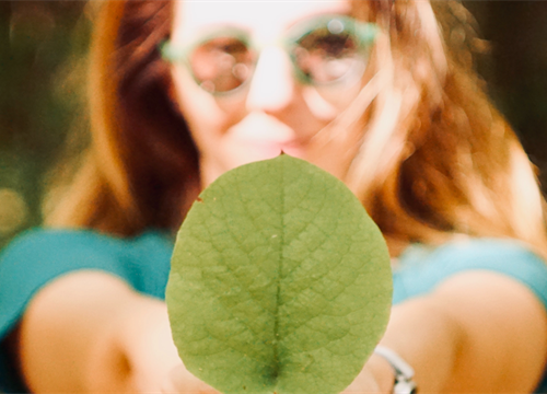 Hållbarhet_löv_relaterad 2000x600px