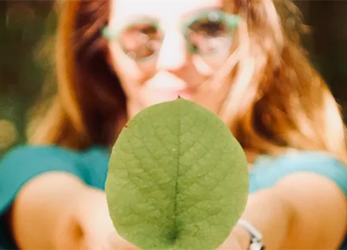 Hållbarhet_löv_relaterad 2000x600px